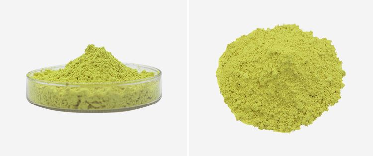 Quercetin Dihydrate Powder 2