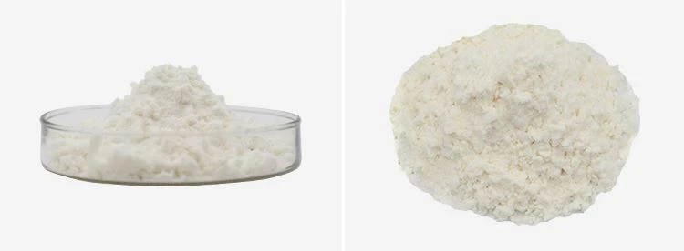 Coconut Milk Powder Wholesale 2 Coconut Milk Powder Wholesale 2