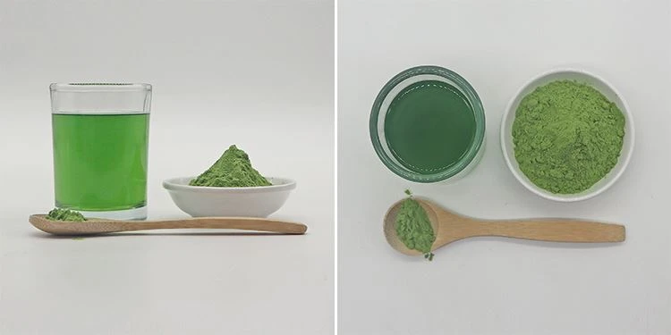 Barley Grass Juice Powder (2) Barley Grass Juice Powder (2)