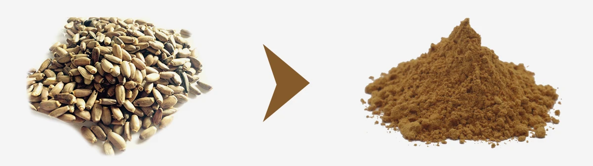 1,1200px