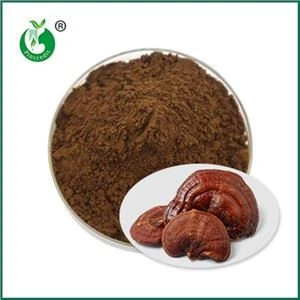Ganoderma spora kukunining ta'siri va kontrendikatsiyasi