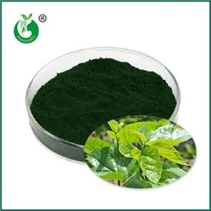Natriy mis xlorofillin nima? U nima uchun ishlatiladi?