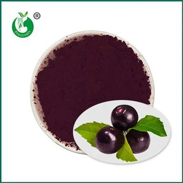 Pure Acai siz uchun yaxshimi?