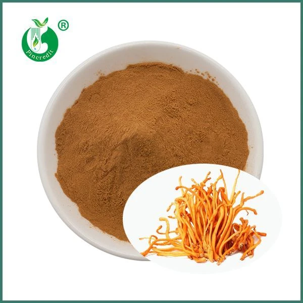 Cordyceps Militaris ekstrakti kukuni