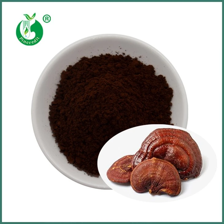 Reishi sporasi kukuni